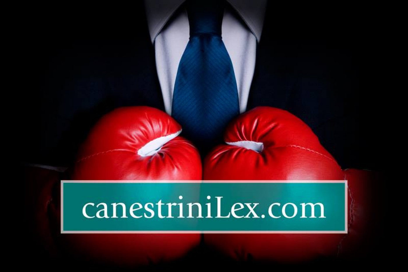 logo canestrinilex