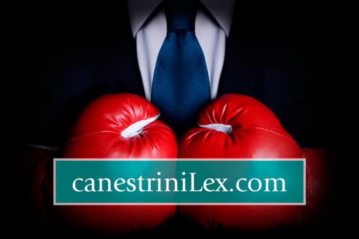 logo canestrinilex
