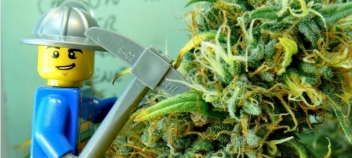 marijuana lego cannabis v2