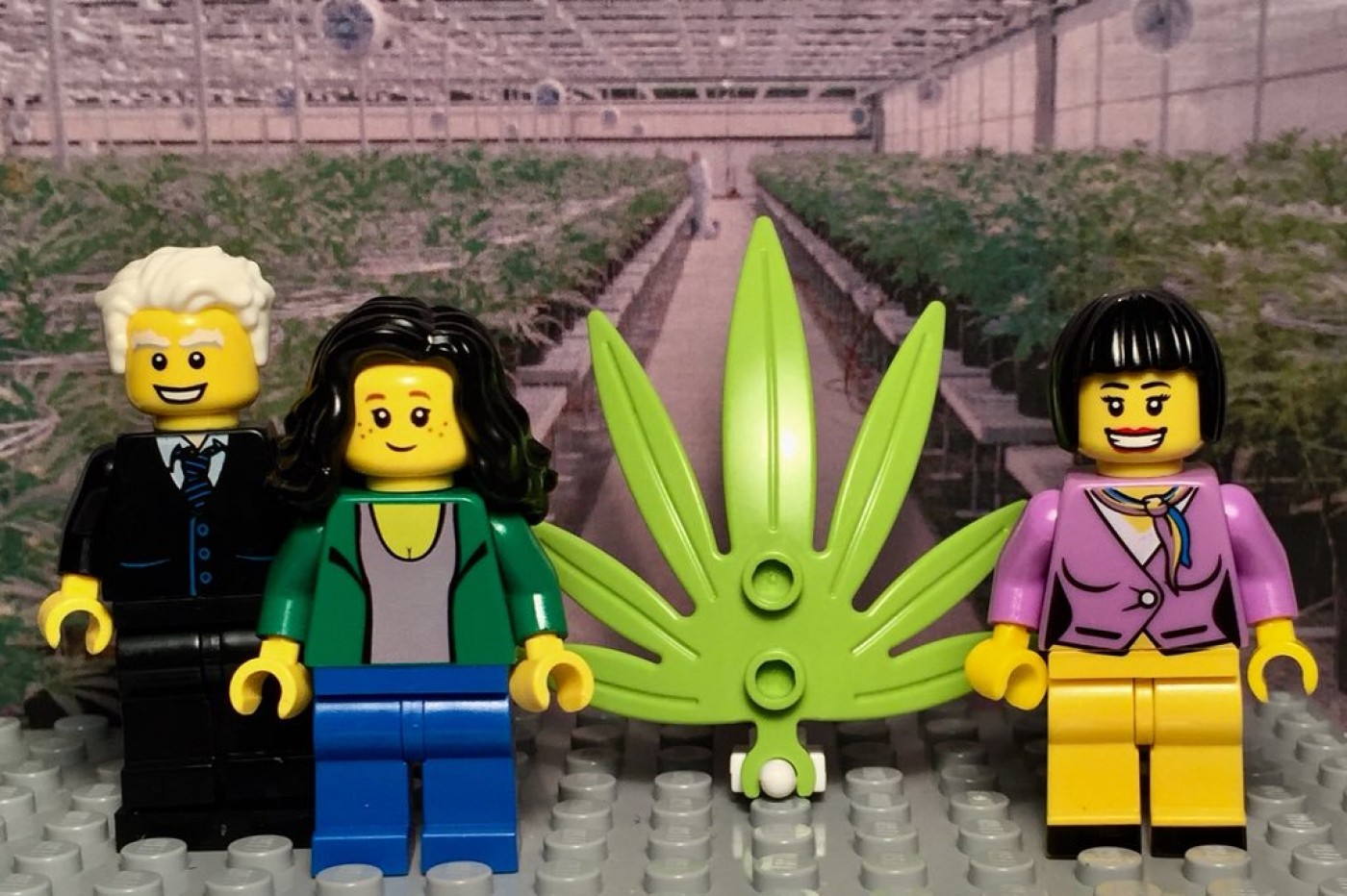 marijuana shop lego