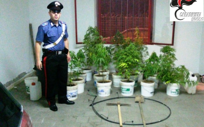 marijuana carabinieri vaso