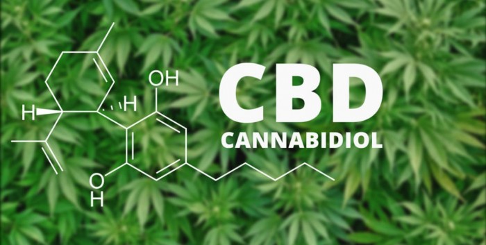 cbd cannabis marijuana light